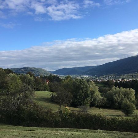 Gaestehaus Marion Hotell Dettingen an der Erms Eksteriør bilde